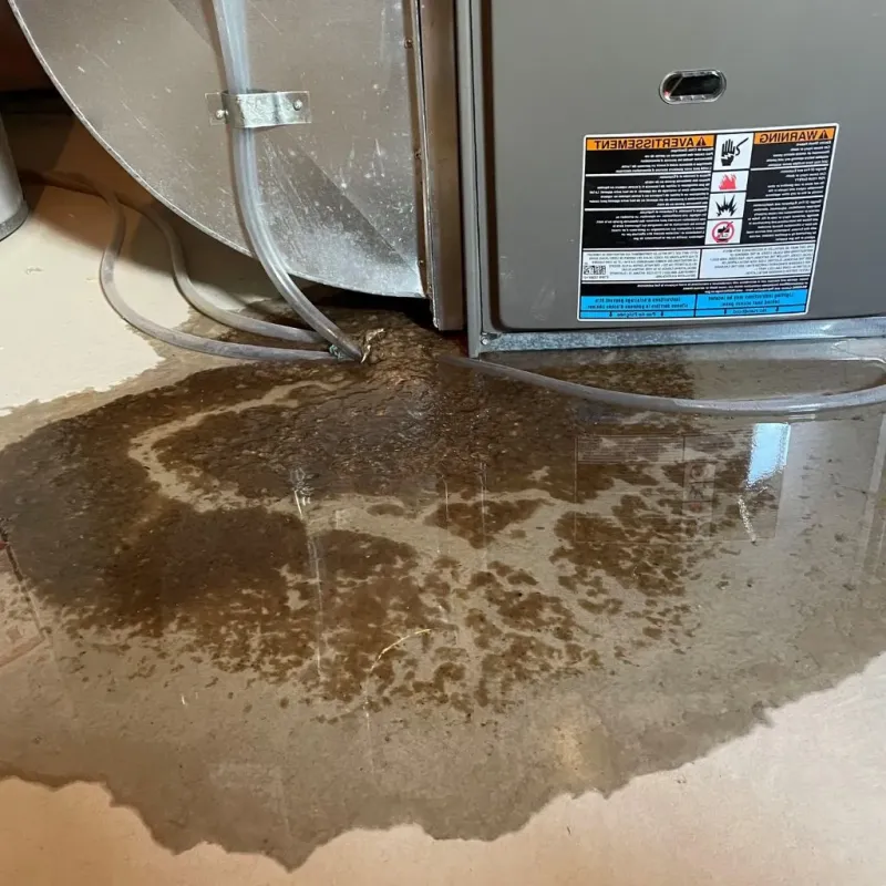Pipe Burst and Leak Restoration in Paintsville, KY