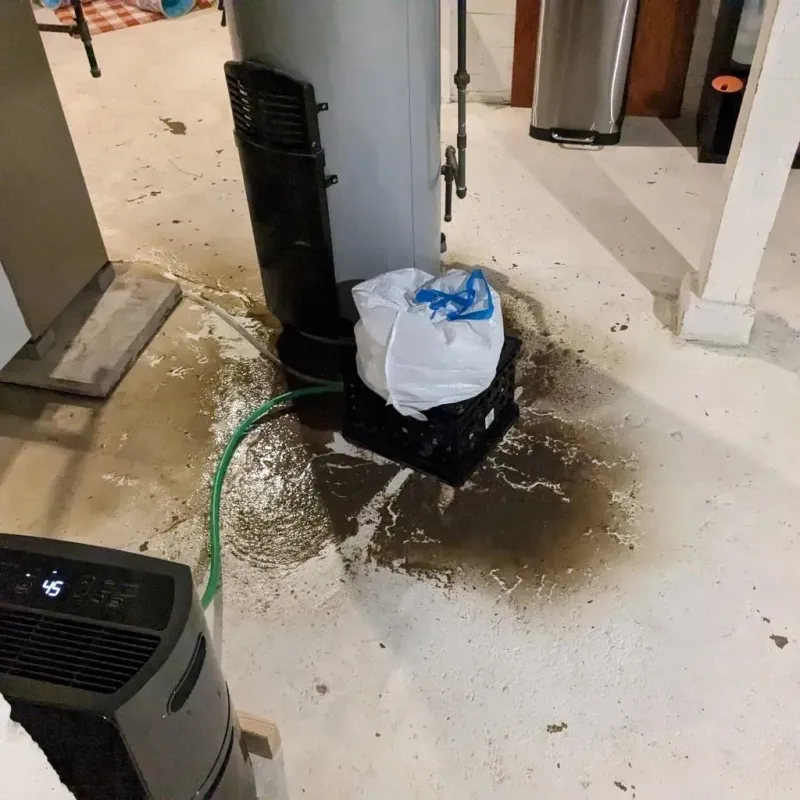 Sewage Backup Cleanup Service in Paintsville, KY